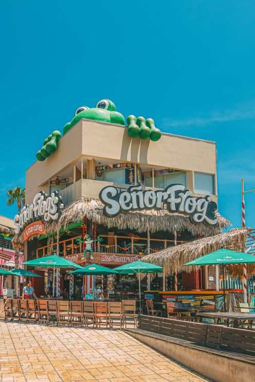 Best Things To Do In Cabo Mexico Senor Frog Bar Cabo San Lucas